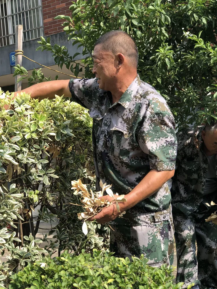 一位运动员独挑重担,谱写感人壮举! 一位运动员独挑重担,谱写感人壮举!